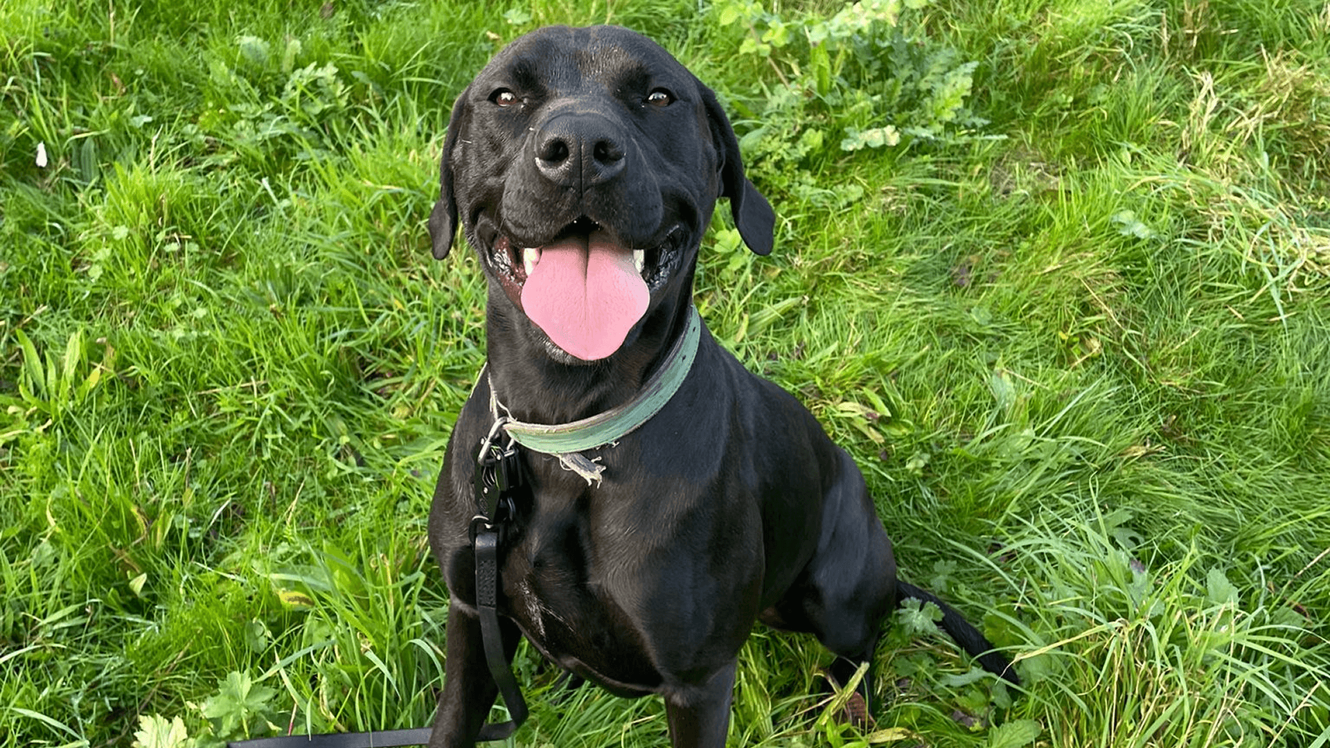 Graduation and Follow-Up