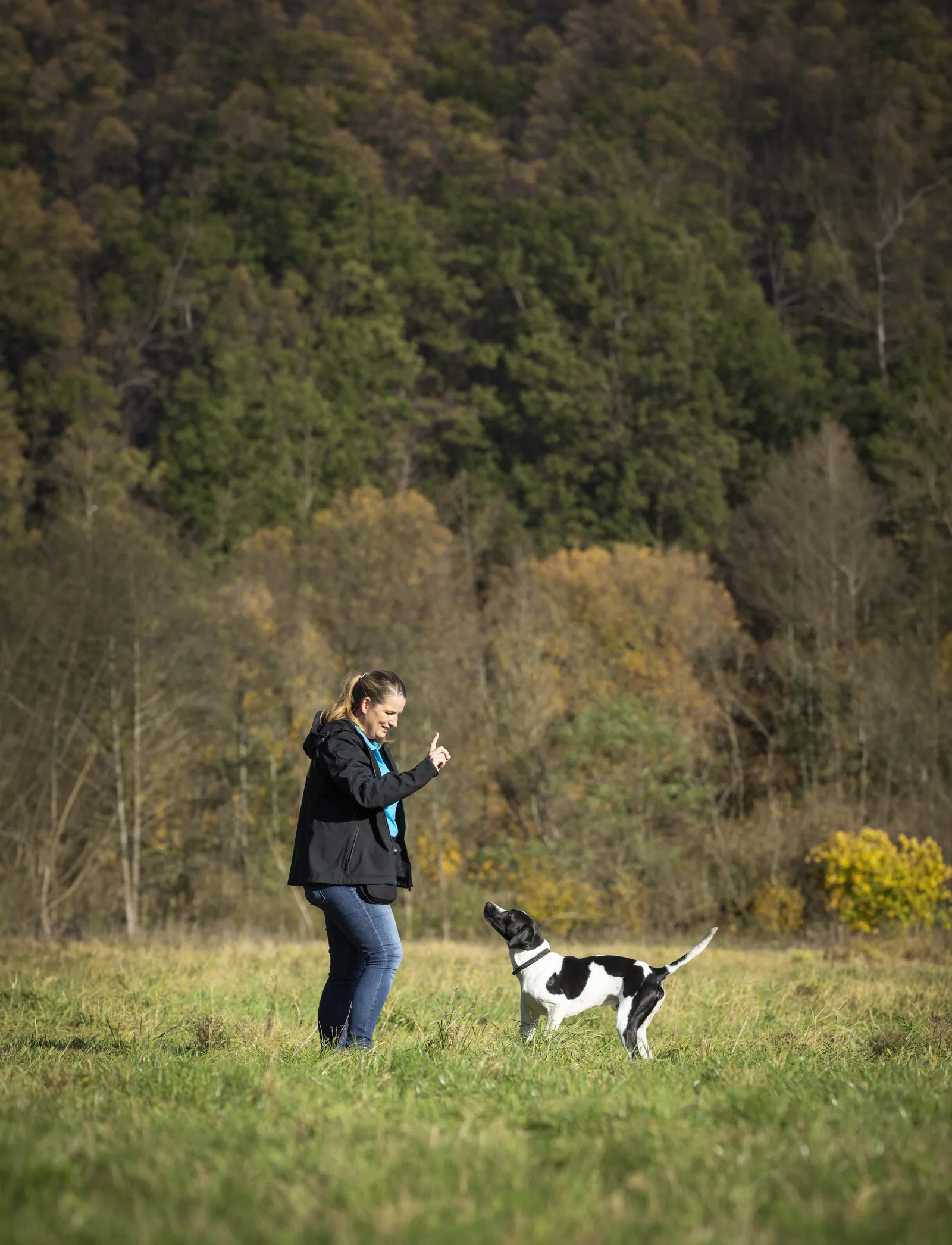 Trainer rewarding a dog during an outdoor session