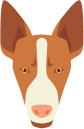 Eve's avatar