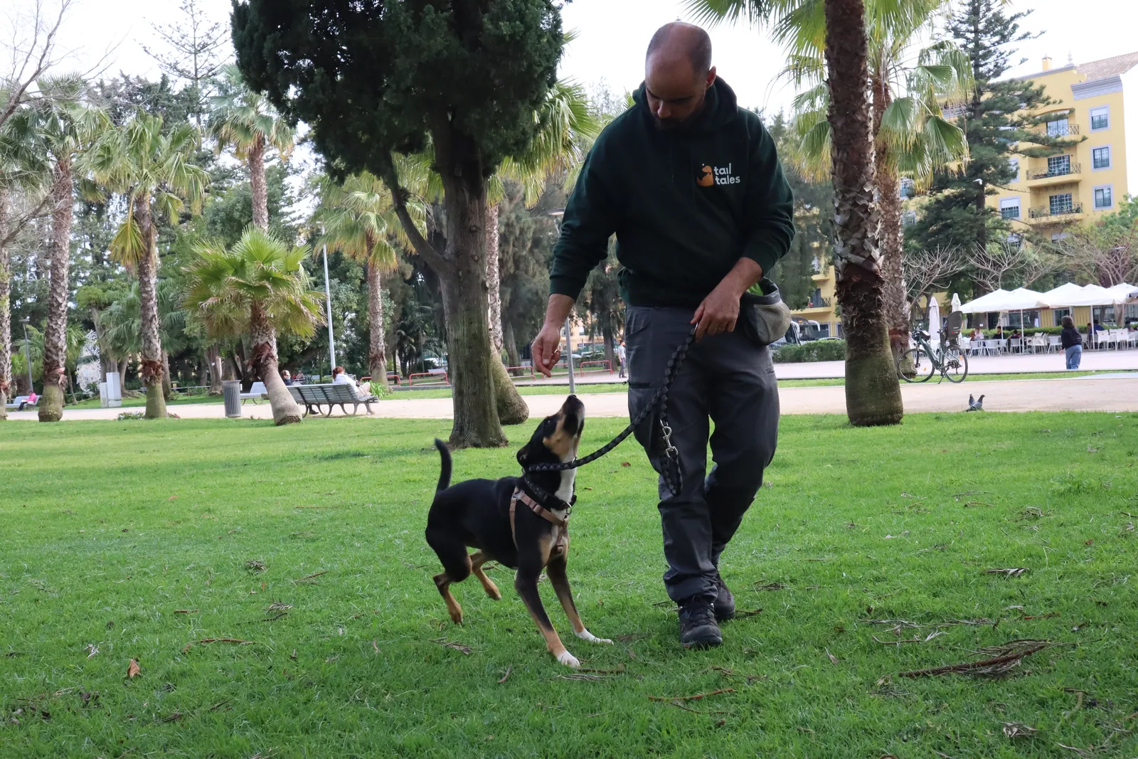 Carlos Calretas training a dog
